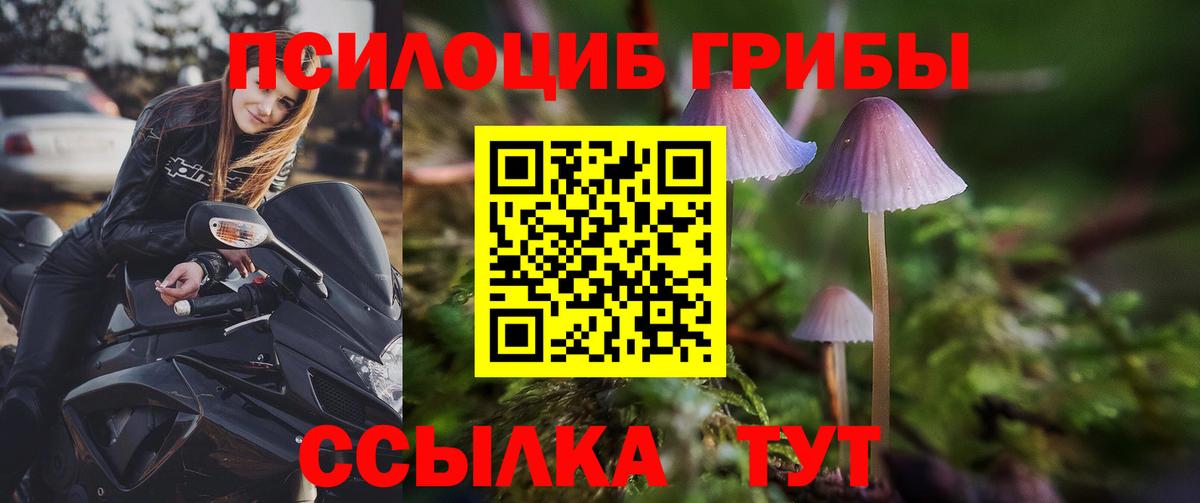 Иваново  Псилоцибиновые грибы мицелий  Вход с VPN  Псилоцибиновые грибы мицелий 
